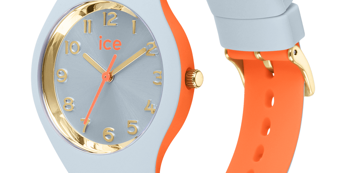 Ice Watch Femme Montres Fleuries Montre ICE Duo Chic Bracelet