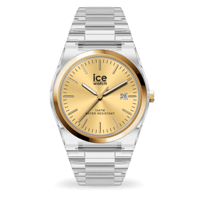 ICE power PW1