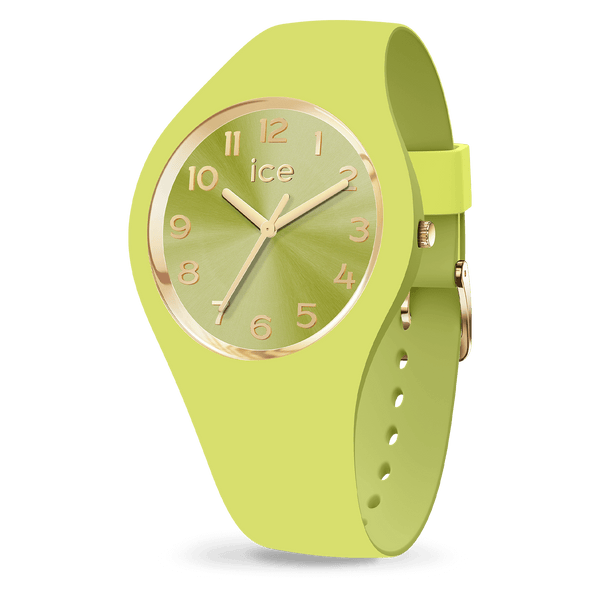 Womens Analogue Montre Ice Watch Duo Chic Montre Ice Duo Chic Shop